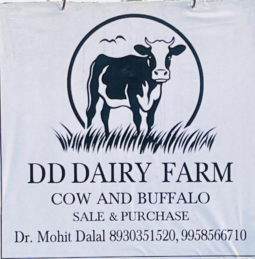 DD Dairy Farm signboard – cow and buffalo sale & purchase, Siwanka, Gohana